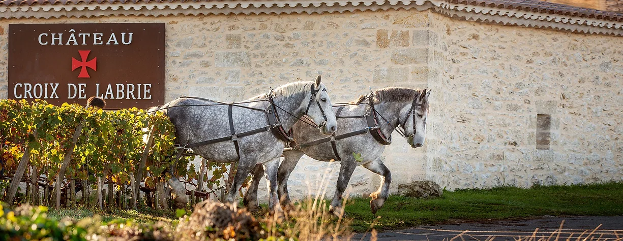 chateau croix de labrie