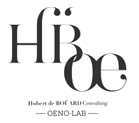 hubert de bouard consulting